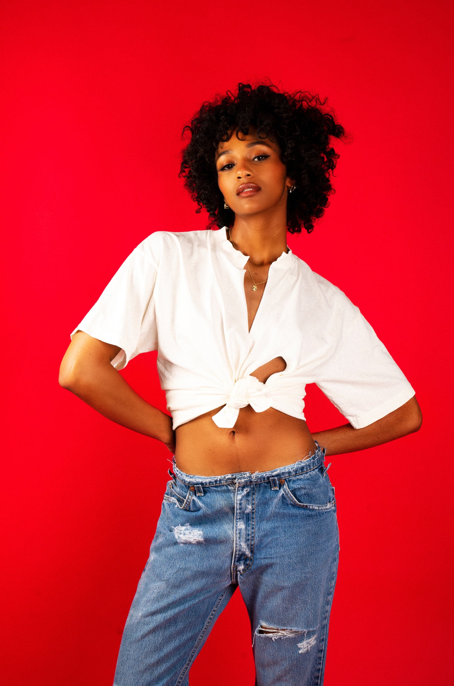 Janet Tee | Vanilla